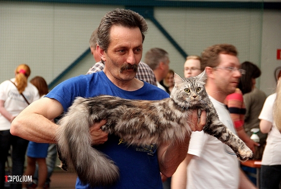 2015-05-09-miedzynarodowa-wystawa-kotow-osir-33